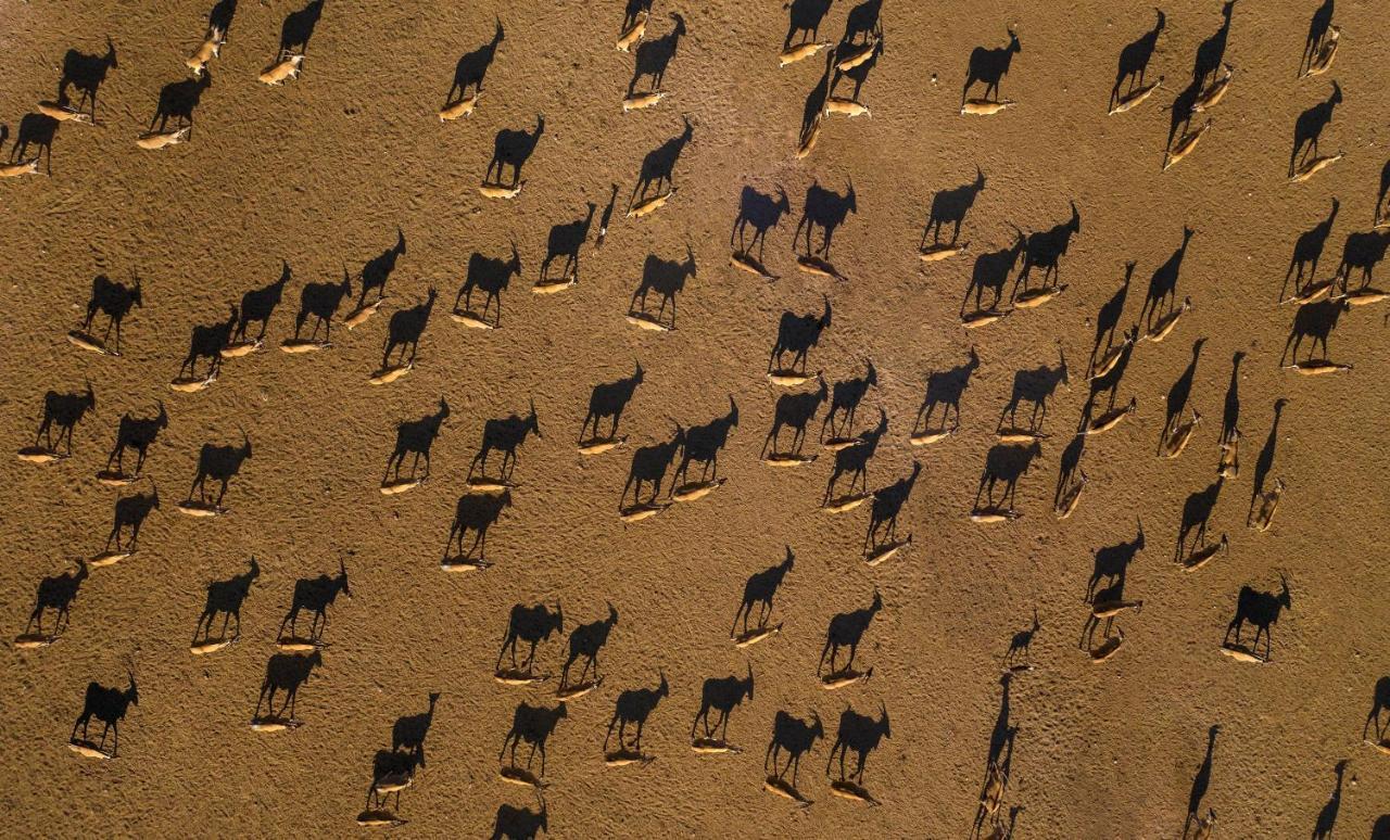 Anantara Sir Bani Yas Island Al Sahel Villas Zahr Exteriér fotografie
